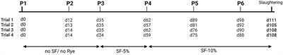 Effect of replacing whole wheat with broken rye as a sustainable grain in diets of fattening turkeys on growth performance, litter quality, and foot pad health